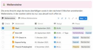 Überblick über die Meilensteine